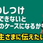 〇〇できないと最悪のケースになるかも…NOBUが飼い主さまに伝えたいこと【犬 しつけ】