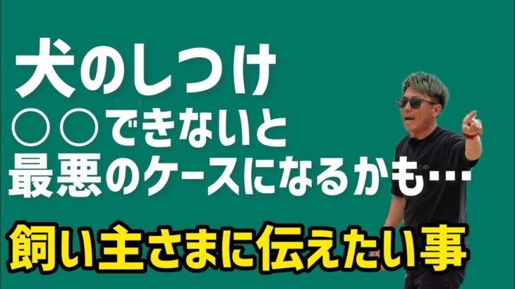 〇〇できないと最悪のケースになるかも…NOBUが飼い主さまに伝えたいこと【犬 しつけ】