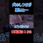 【バイオハザードRE4】犬のしつけが悪いと・・・#バイオハザード #バイオハザードRE4  #ゲーム実況