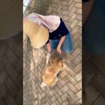 犬のしつけも一つずつ🐾最後には、、、