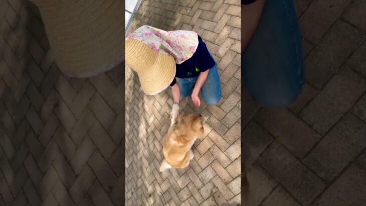 犬のしつけも一つずつ🐾最後には、、、