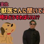 【第３弾】犬の体調変化現役の獣医さんに聞いてみた！こういう時はどうすればいい⁉第１弾の内容を深堀して質問！