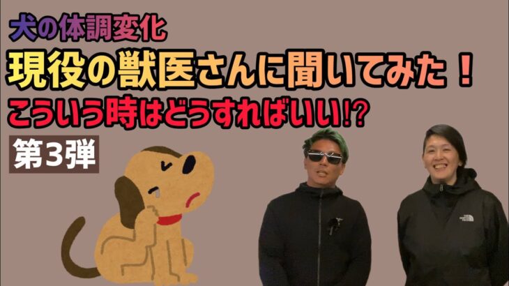 【第３弾】犬の体調変化現役の獣医さんに聞いてみた！こういう時はどうすればいい⁉第１弾の内容を深堀して質問！