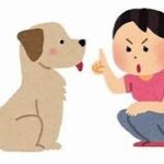 永久保存版　犬のしつけ方　おすわり編