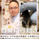 犬に自発性を持たせよ！そのために私たちが行うべき行動は？#犬　#しつけ　#育て方