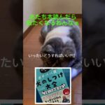 これ読んだら賢くなるよ！ #ポチパパ#秋田犬 #犬のいる暮らし #犬のしつけ