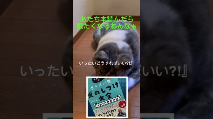 これ読んだら賢くなるよ！ #ポチパパ#秋田犬 #犬のいる暮らし #犬のしつけ