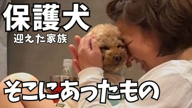 保護犬たちが感じたママのこと【犬のしつけ】