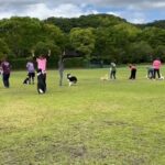 今週もしつけ教室のイベントに参加しました。