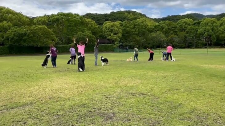 今週もしつけ教室のイベントに参加しました。