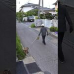 しつけのなってない犬と飼主