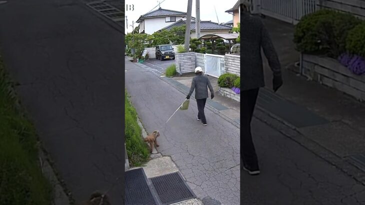 しつけのなってない犬と飼主