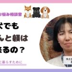 成犬でもきちんと躾はできるの？