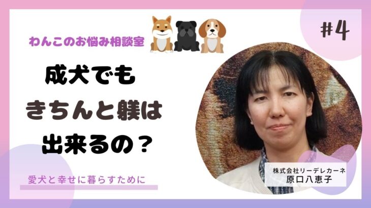 成犬でもきちんと躾はできるの？