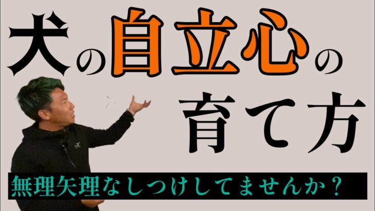 ～犬の自立心の育て方～　無理矢理なしつけ(教え方)してませんか？【犬 しつけ】