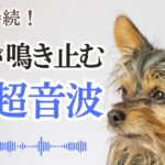 犬が鳴き止む超音波。愛犬のしつけ、問題行動の矯正、無駄吠え防止に。スマホで手軽に対策(周波数可変バージョン)