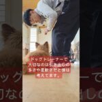 犬のしつけってスキル以外に大切なことの方が多いです。 それに気づいてない人がほとんど… 一緒に学んでいきましょう！ #犬のしつけ #犬のしつけ教室 #吠えぐせ #ドッグトレーナー