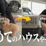 【犬のしつけ】トレーニングを始めたらさっきまでとは別犬になってしまった、、、