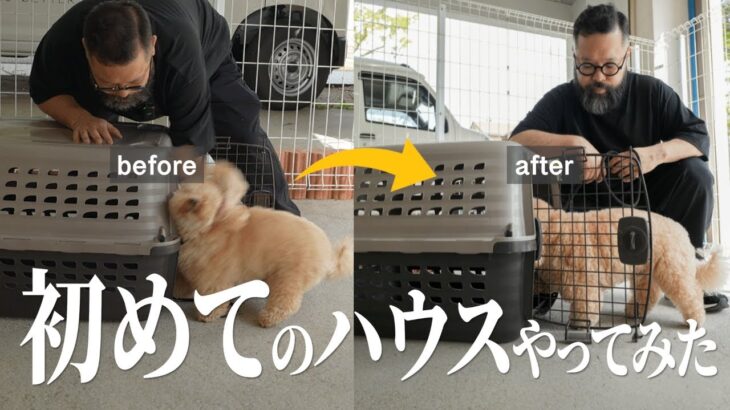 【犬のしつけ】トレーニングを始めたらさっきまでとは別犬になってしまった、、、