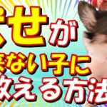 【犬のしつけ】伏せが出来ない子に伏せを教える方法！お尻が上がっちゃうチワワのややちゃんで実践！