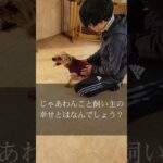 あなたの愛犬は本当に幸せですか？#犬のしつけ  #大阪 #犬の幼稚園 #いぬばか部 #ドッグトレーナー #犬好きさんと繋がりたい #訪問しつけ #しつけ相談