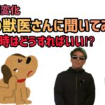 【第２弾】犬の体調変化現役の獣医さんに聞いてみた！こういう時はどうすればいい⁉