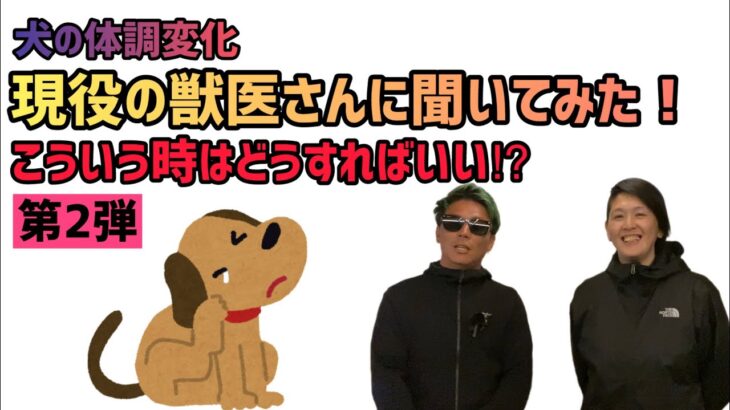 【第２弾】犬の体調変化現役の獣医さんに聞いてみた！こういう時はどうすればいい⁉