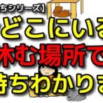 【犬 ケージ サークル】休む場所で愛犬のきもちがわかります！犬のしつけエマチャンネル【犬のしつけ＠横浜】