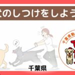 008 犬のしつけをしよう