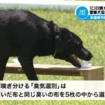 【警察犬など108頭が訓練成果競う】警察犬協会長野県支部が訓練競技会 2024/6/16