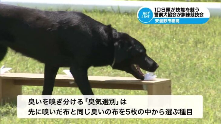 【警察犬など108頭が訓練成果競う】警察犬協会長野県支部が訓練競技会 2024/6/16