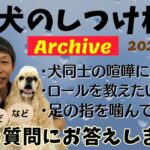 犬のしつけ相談ライブ☆ゲリラライブ【アーカイブ 2024/06/24】