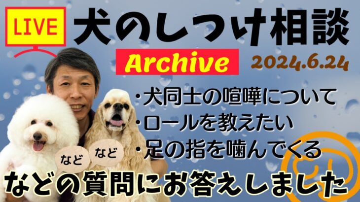 犬のしつけ相談ライブ☆ゲリラライブ【アーカイブ 2024/06/24】