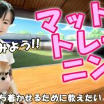 【犬のしつけ】愛犬を落ち着かせるために教えたい！ マットトレーニングの教え方3ステップ