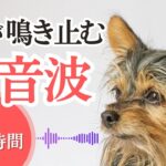 犬が鳴き止む超音波(6時間)。愛犬のしつけ、問題行動の矯正、無駄吠え防止。可変周波数で効果持続