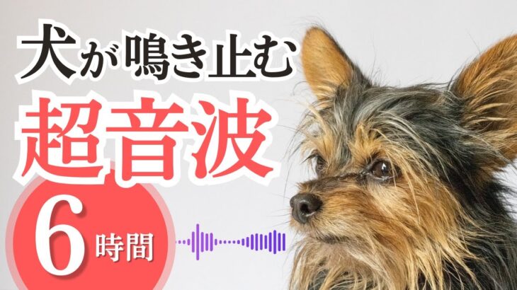 犬が鳴き止む超音波(6時間)。愛犬のしつけ、問題行動の矯正、無駄吠え防止。可変周波数で効果持続