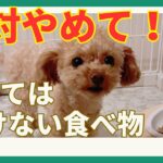 【絶対NG！】犬に与えてはいけない食べ物とは？