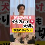 犬のしつけで、やり方よりも大切な本当のポイントとは？#犬のしつけ #dog #犬のいる暮らし