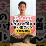 【きっと大丈夫】犬のしつけで心が折れそうな飼い主さんへ#犬のしつけ #dog #犬のいる暮らし