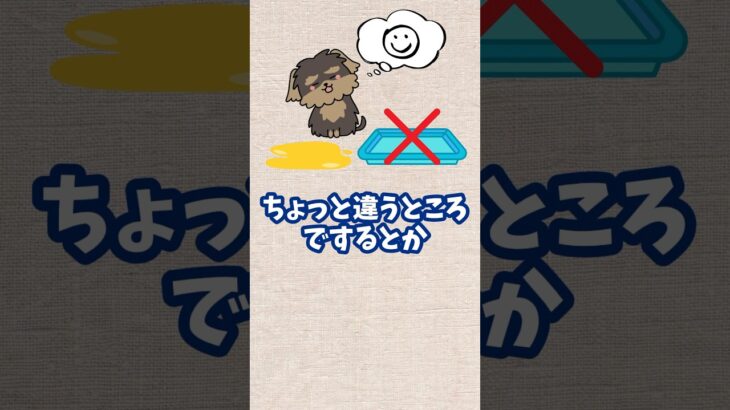 【納得】愛犬がトイレを失敗する時の気持ち#犬のしつけ #犬のトイレ#dog