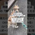 #siberianhusky #シベリアンハスキー #ハスキー #犬のいる生活 #japan #問題行動　#しつけ