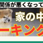 【信頼関係悪化のサイン？】犬が家の中でマーキングをする理由とは？