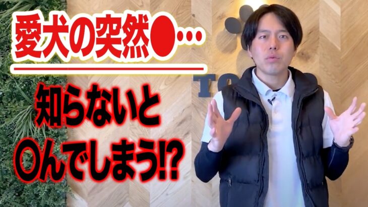 【犬病気】愛犬の命を救う〇〇の知識。コレで防げます。【胃捻転】