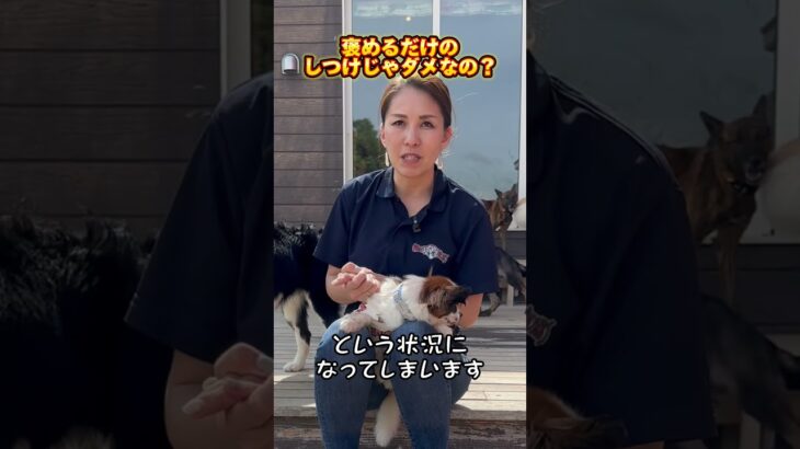 犬は褒めるしつけじゃダメなの？