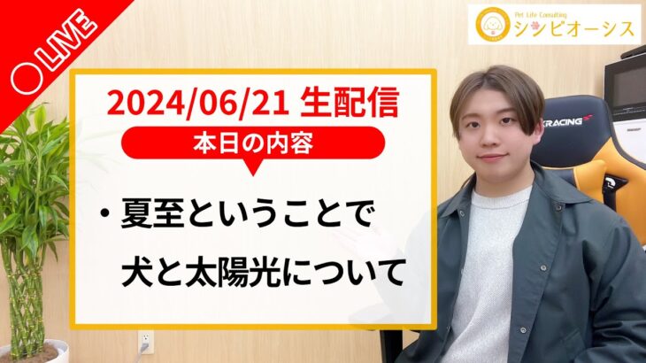 【生配信】夏至なので犬と太陽光について