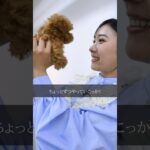 【 ドラマ 】 ペット の 吠え癖 意外な原因とは？ 〔 犬 ペット可 しつけ 〕