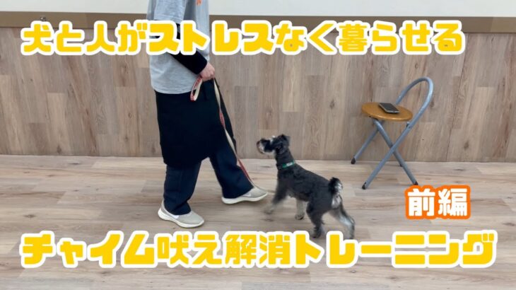 【犬しつけ解説】犬と人がストレスなく暮らせる、チャイム吠え解消トレーニング［前編］