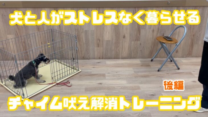 【犬しつけ解説】犬と人がストレスなく暮らせる、チャイム吠え解消トレーニング［後編］