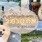 【愛犬と旅行】ドッグトレーニングを学びに、長野に行ってきました！