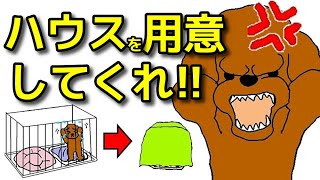 【犬 ケージ ハウス 】ハウスが必要な理由と愛犬に合ったハウスの選び方！犬のしつけエマチャンネル【犬のしつけ＠横浜】